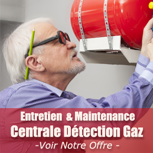 Entretien & Maintenance Centrale de Détection Fixe