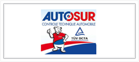 AutoSUR